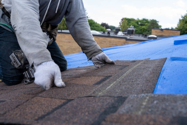 Quick and Trustworthy Emergency Roof Repair Services in Denmark, WI