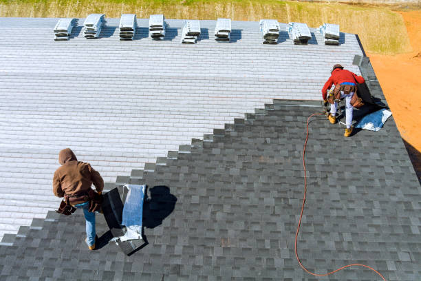 Best New Roof Installation  in Denmark, WI