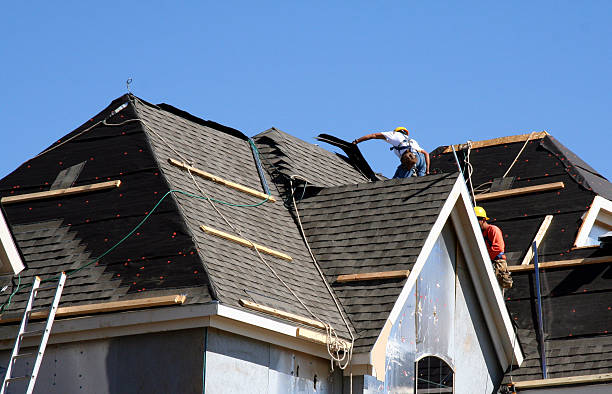 Best Roof Gutter Cleaning  in Denmark, WI