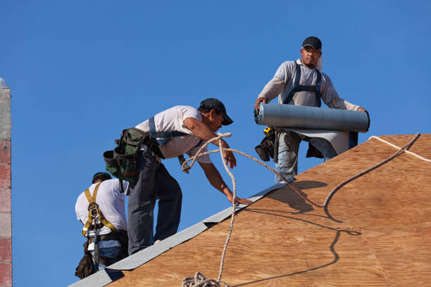 Best Residential Roofing Contractor  in Denmark, WI