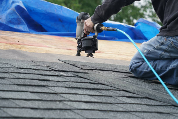 Best Flat Roof Repair Services  in Denmark, WI