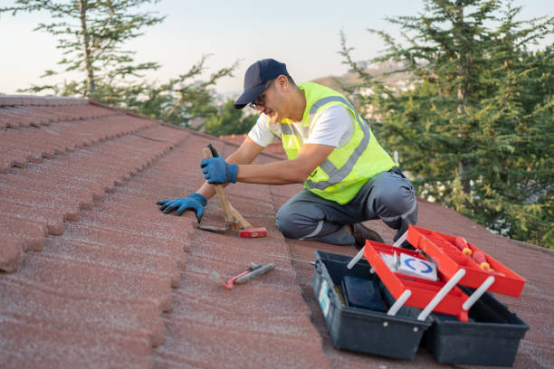 Best Affordable Roofing Company  in Denmark, WI