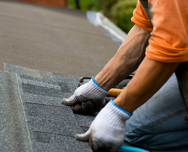 Best Gutter Installation and Roofing  in Denmark, WI