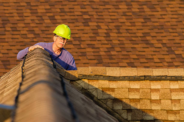 Best Roof Inspection Near Me  in Denmark, WI