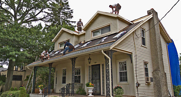Best New Roof Installation  in Denmark, WI