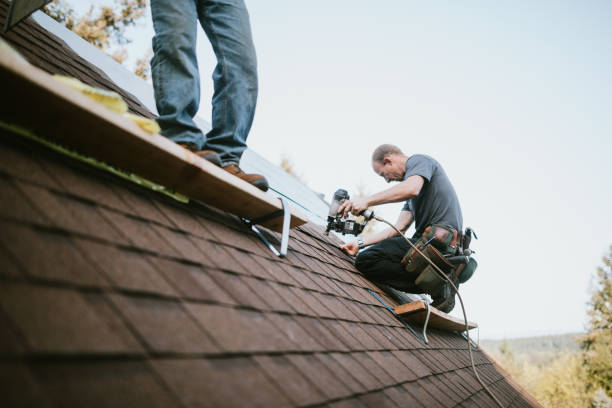 Best Roof Leak Repair  in Denmark, WI